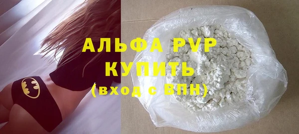 стаф Новозыбков