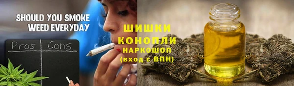 стаф Новозыбков
