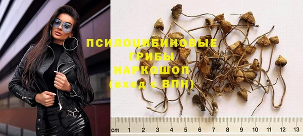 амф Баксан