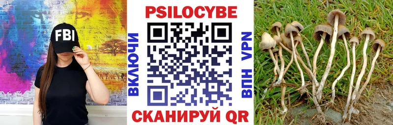 Псилоцибиновые грибы MAGIC MUSHROOMS  Гаврилов-Ям 