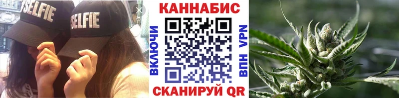 Конопля сатива  цены наркотик  Гаврилов-Ям 